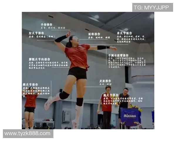 上海排球队的成长之路：一段激励人心的排球纪实故事